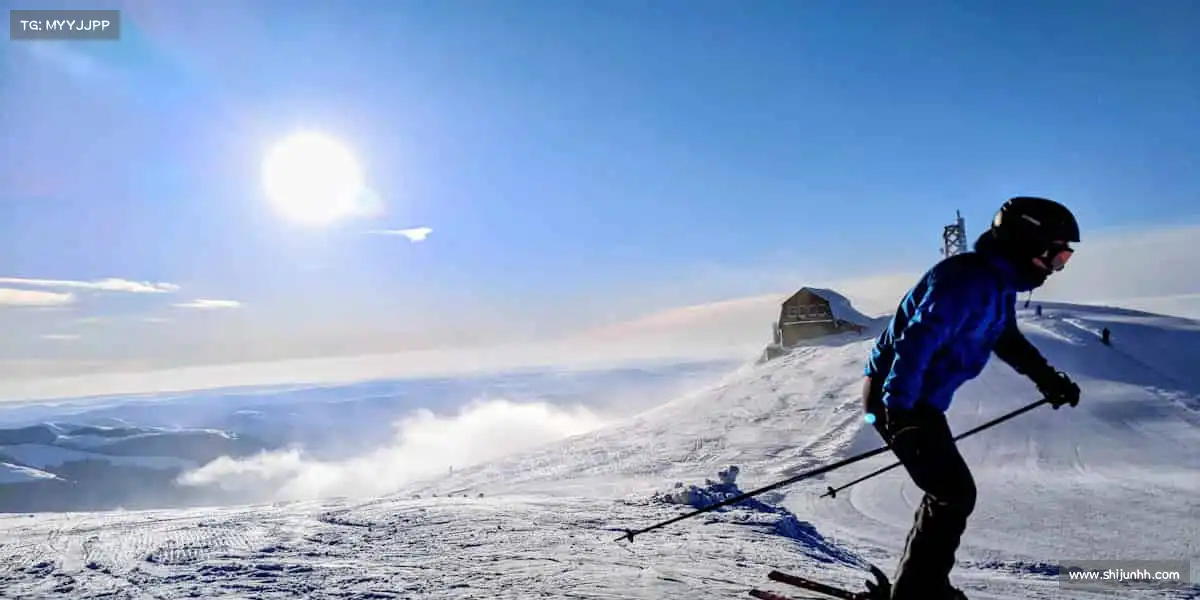 行业领先的理由